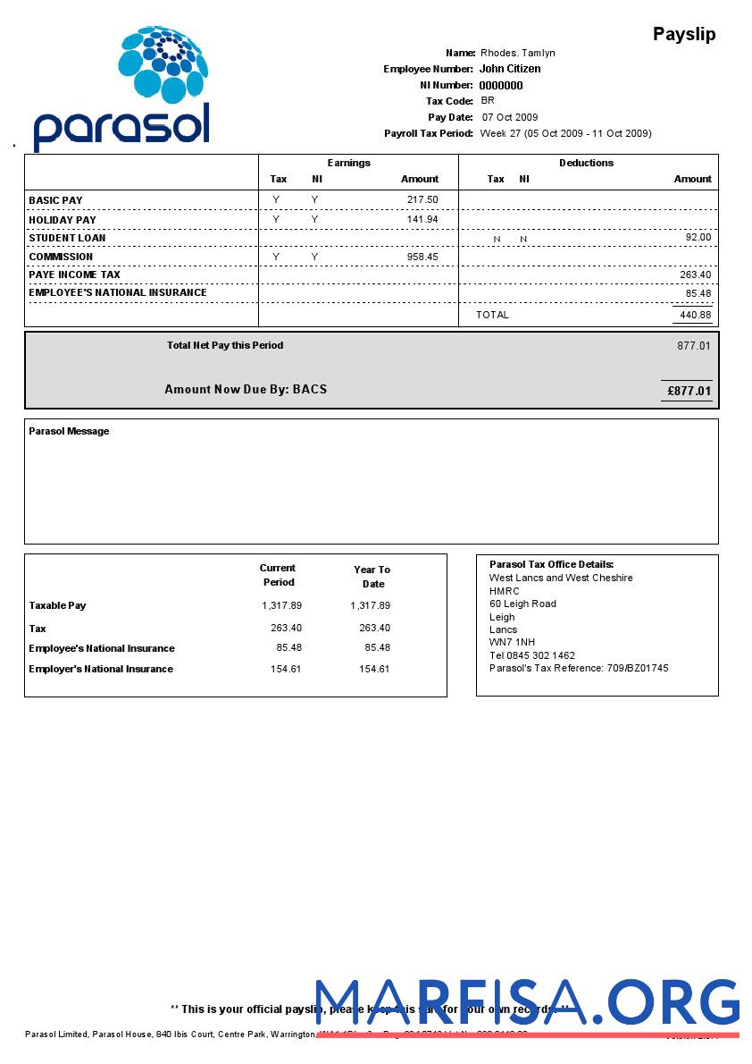 Printable Parasol Limited paystub sample